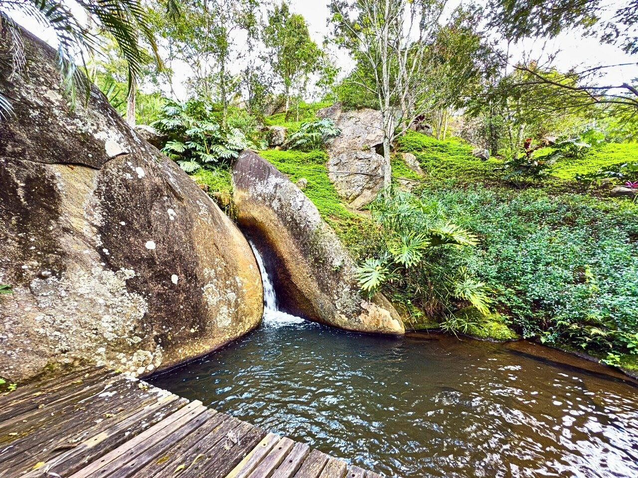 Casa, 5 quartos, 300 m² - Foto 9