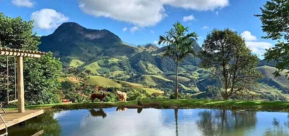 Casa, 5 quartos, 300 m² - Foto 7