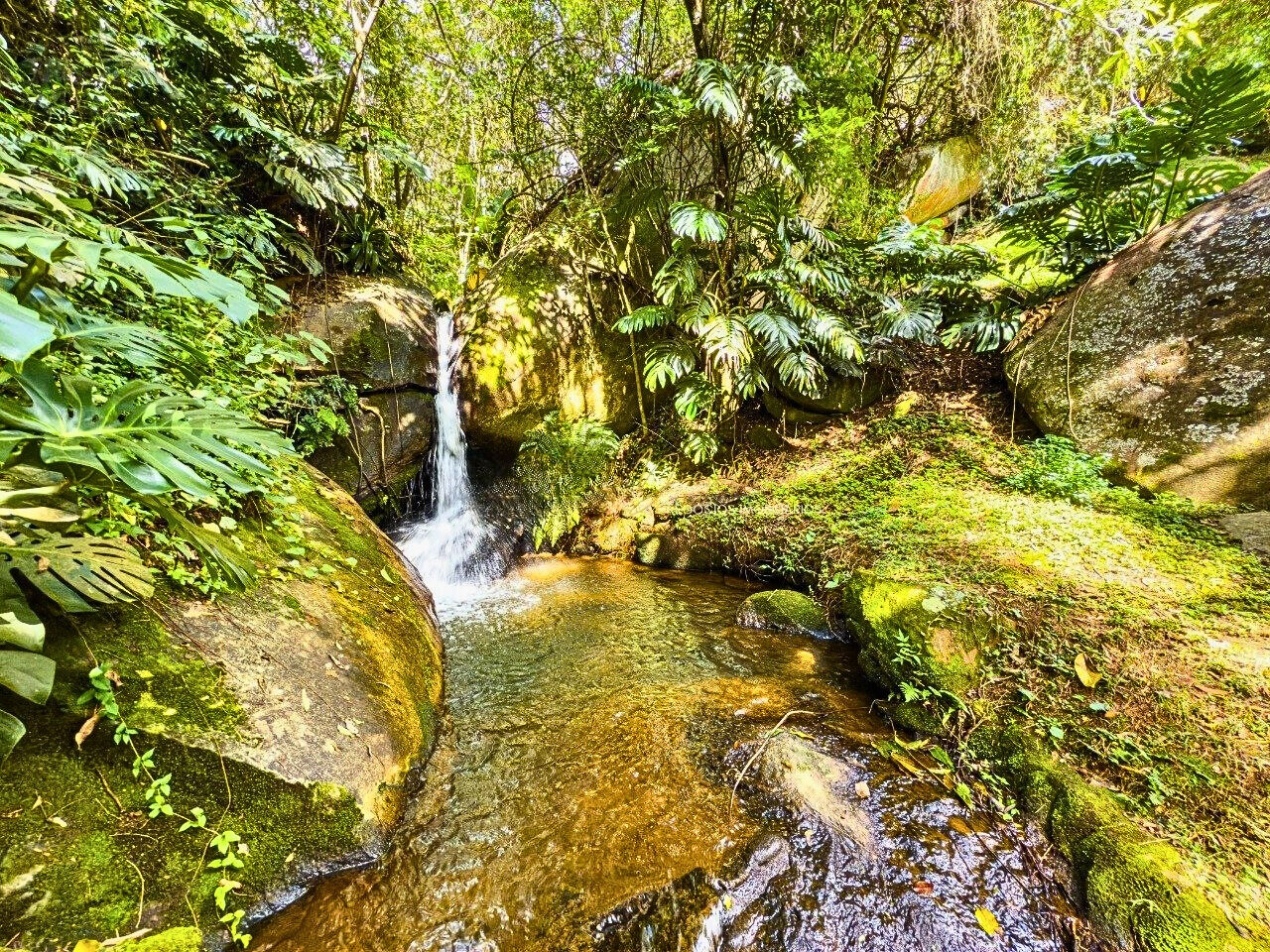 Casa, 5 quartos, 300 m² - Foto 39