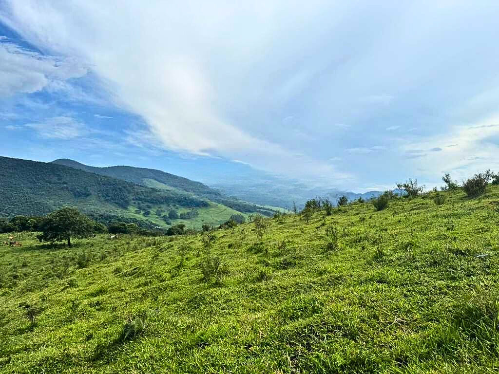 Terreno, 2700 m² - Foto 6
