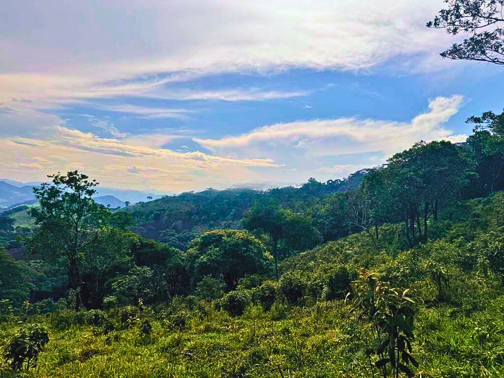 Terreno, 2700 m² - Foto 13