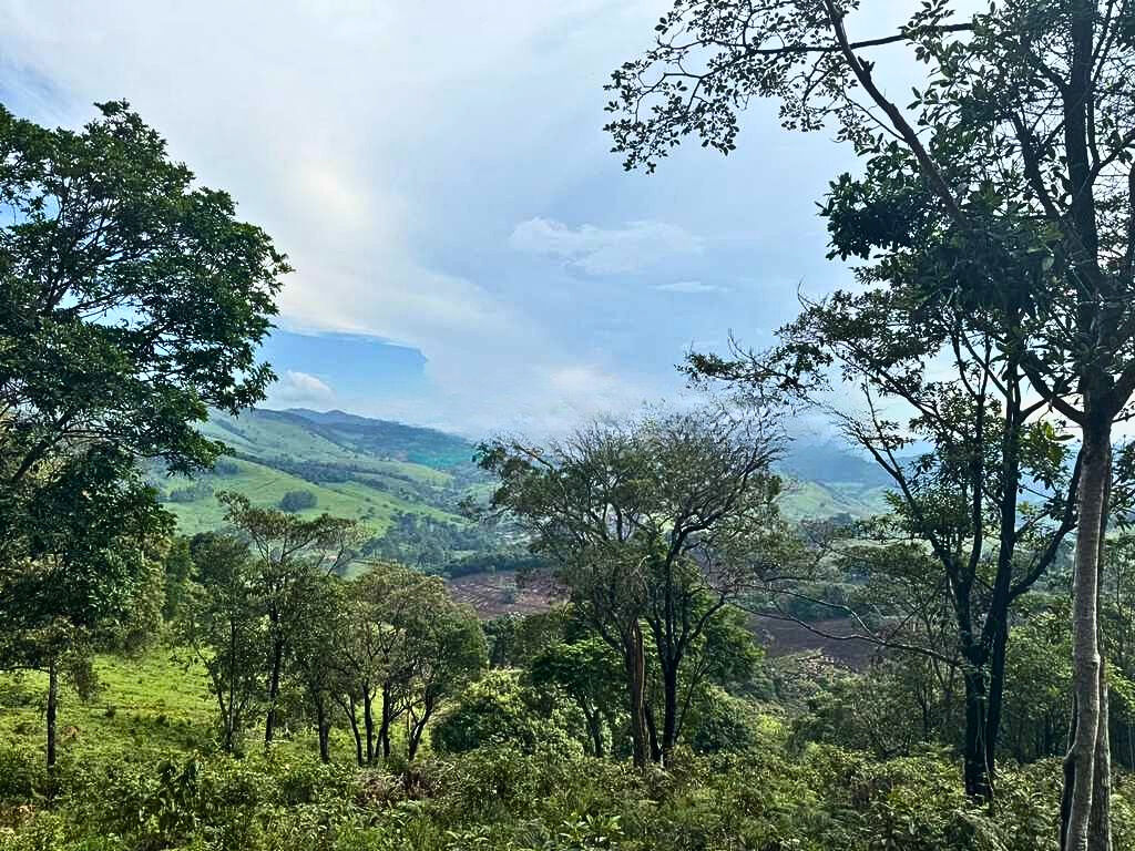 Terreno, 2700 m² - Foto 12