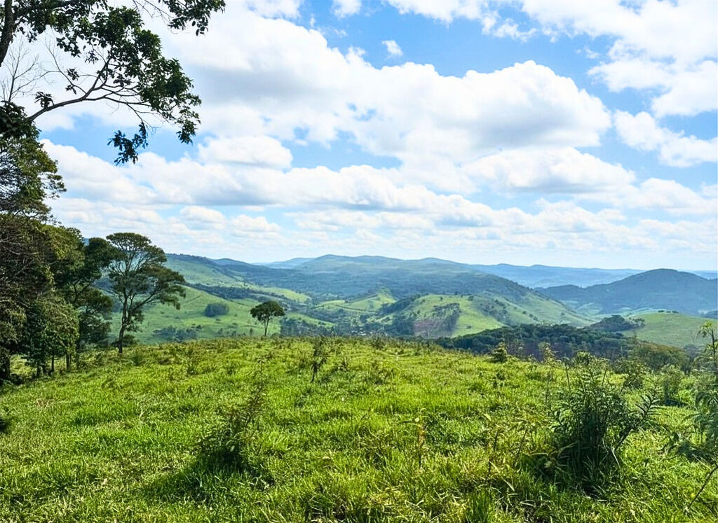 Terreno, 2700 m² - Foto 5