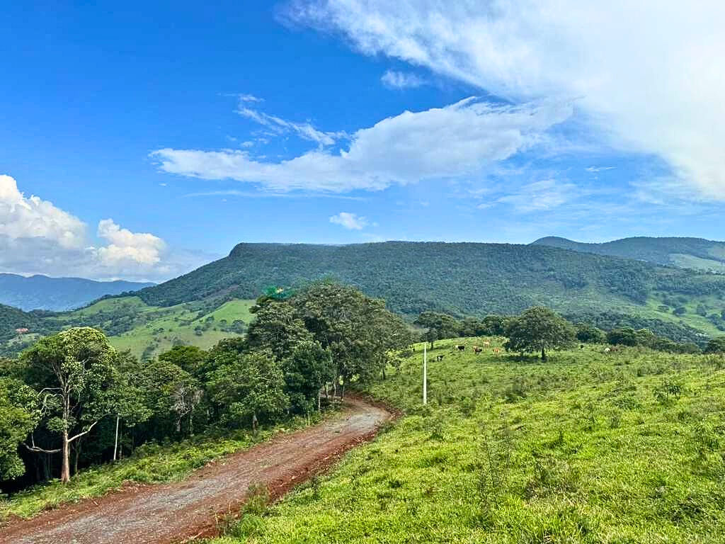 Terreno, 2700 m² - Foto 2