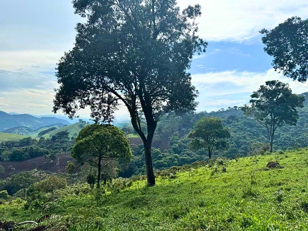 Terreno, 2700 m² - Foto 3