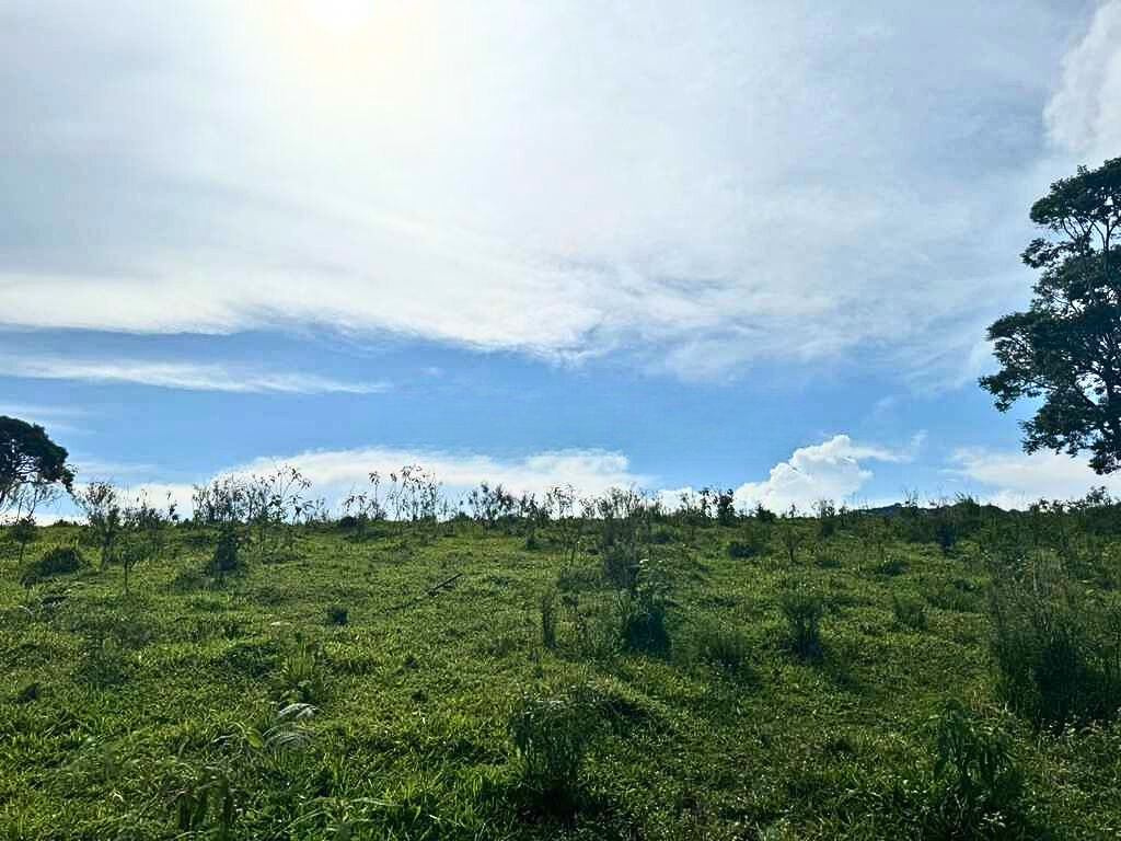 Terreno, 2700 m² - Foto 8