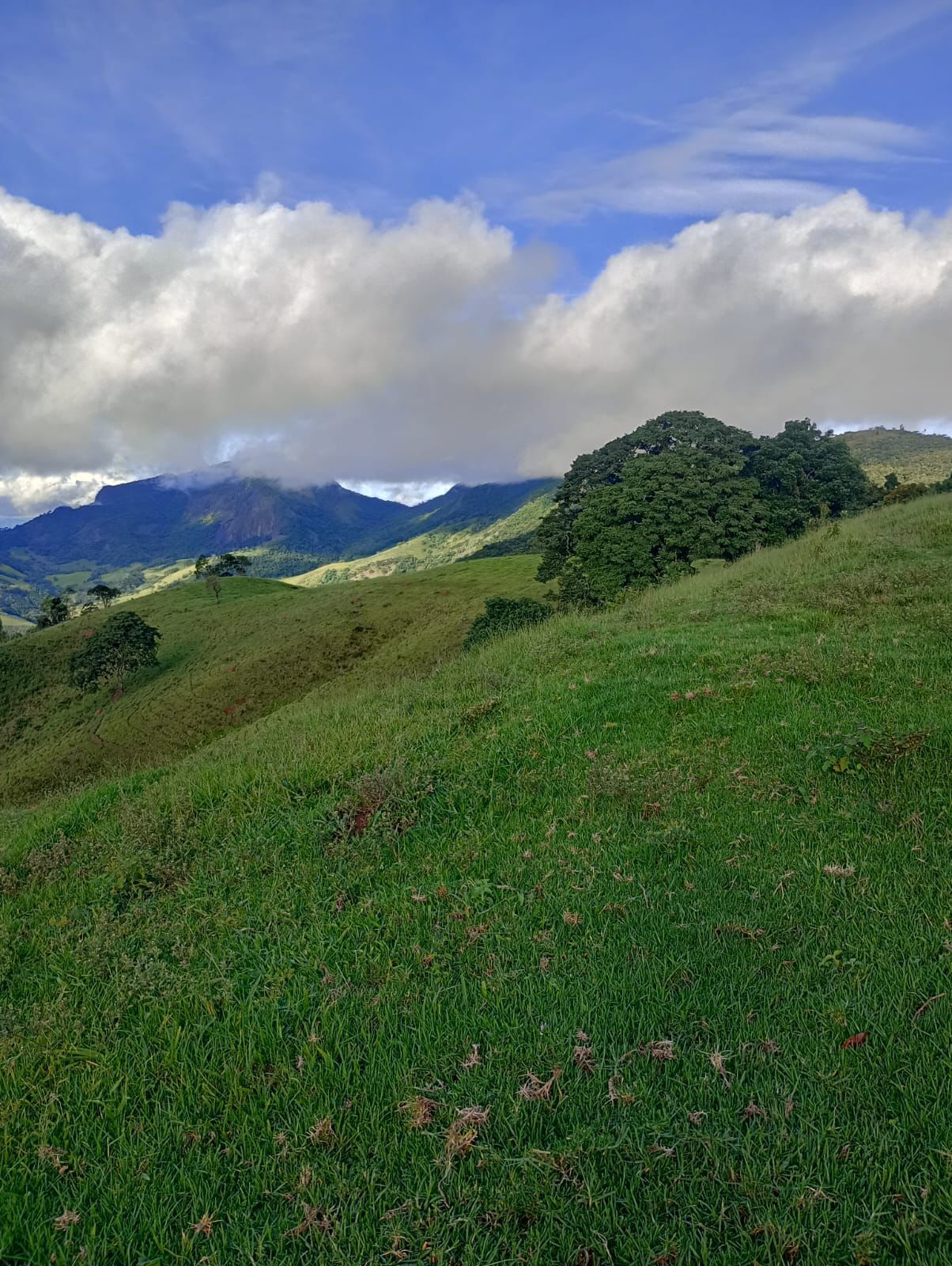 Terreno, 13 hectares - Foto 1