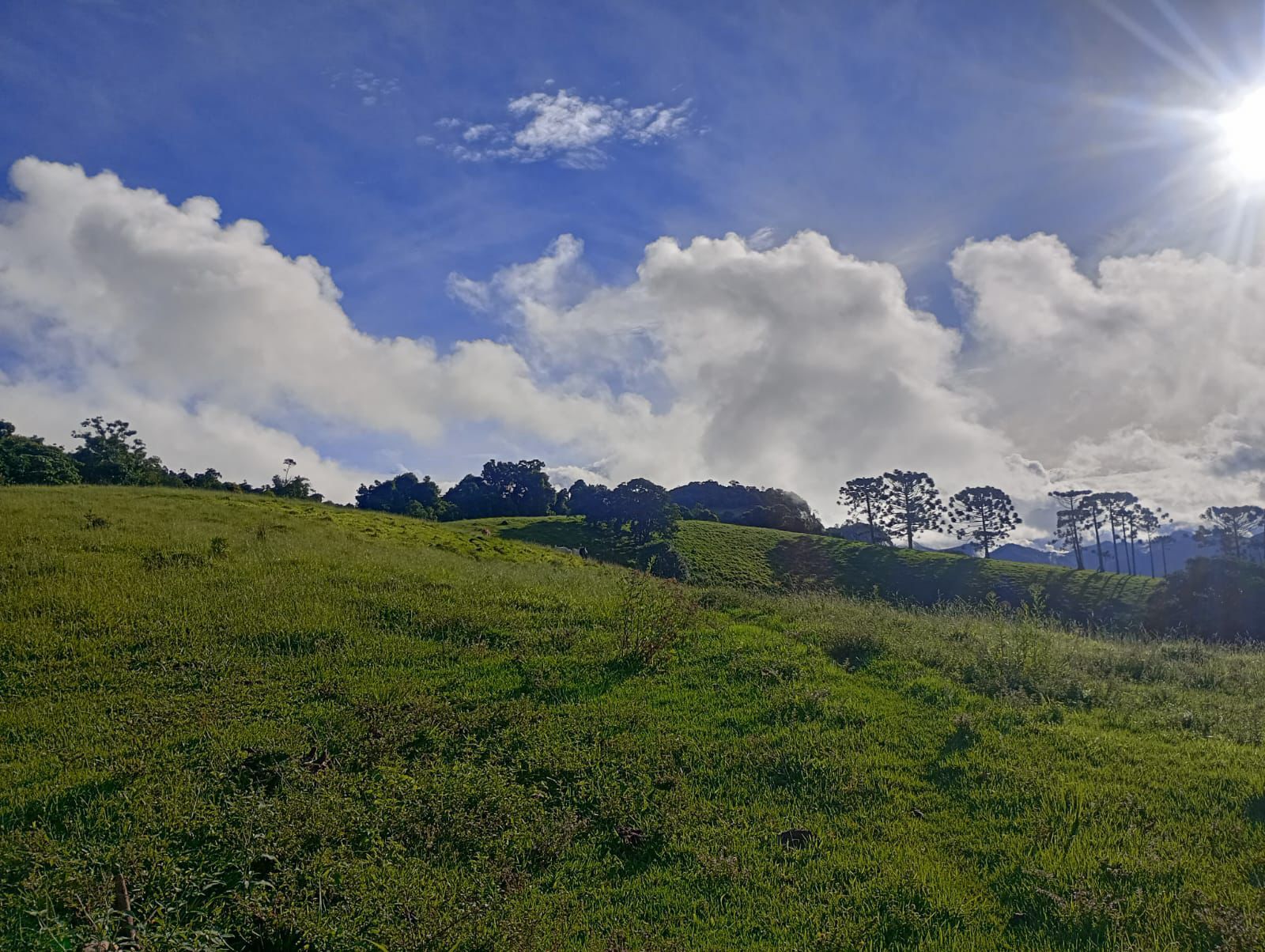 Terreno, 13 hectares - Foto 13