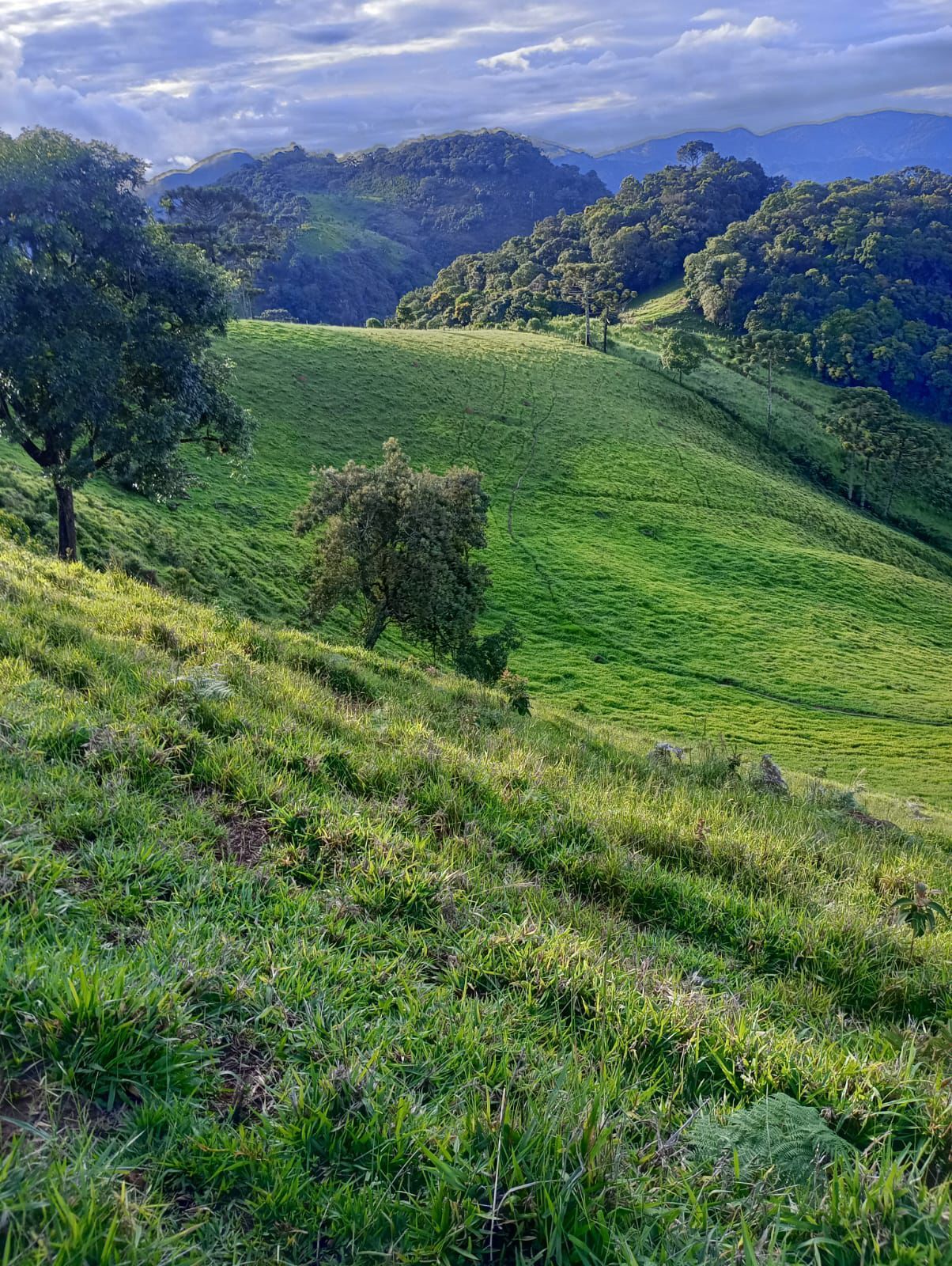 Terreno, 13 hectares - Foto 6
