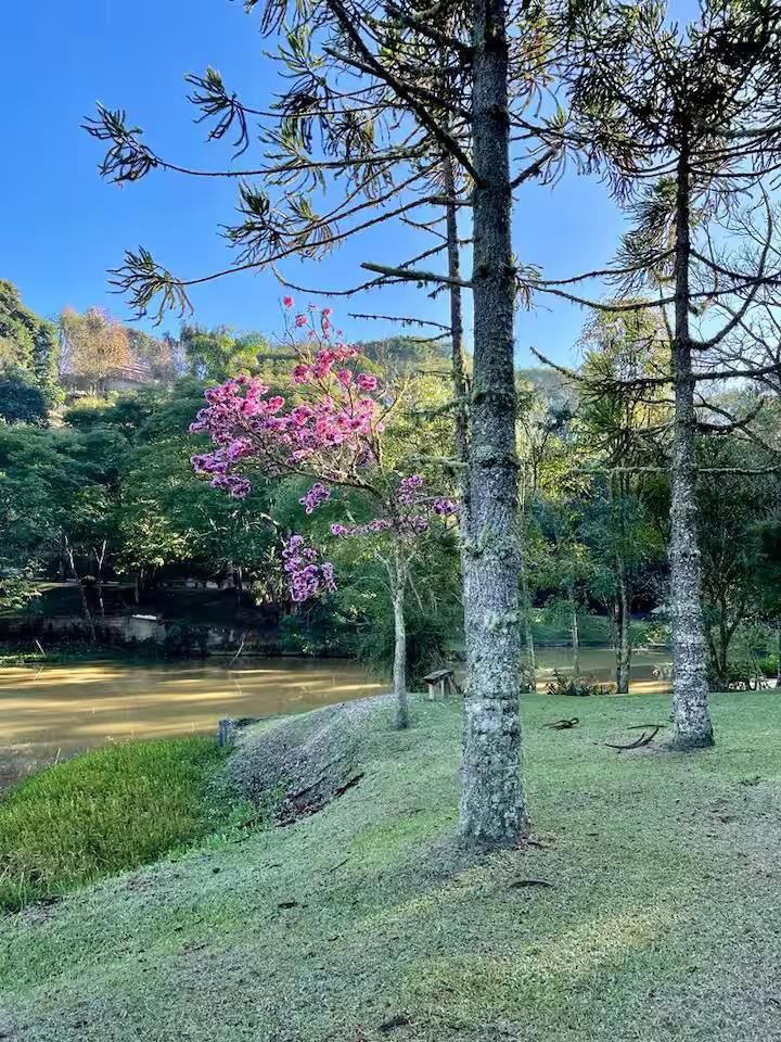 Casa, 2 quartos, 260 m² - Foto 8