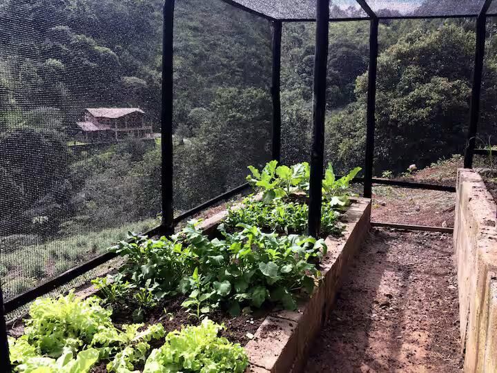 Casa, 2 quartos, 260 m² - Foto 39