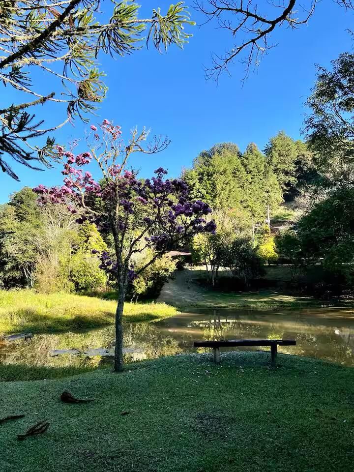 Casa, 2 quartos, 260 m² - Foto 12