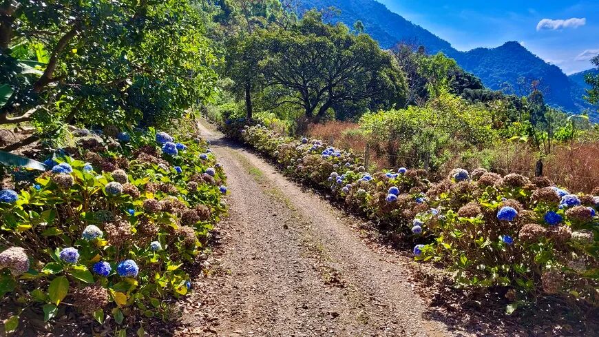 Casa, 2 quartos, 200 m² - Foto 31