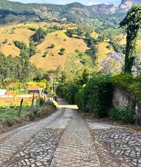 Terreno, 3700 m² - Foto 3