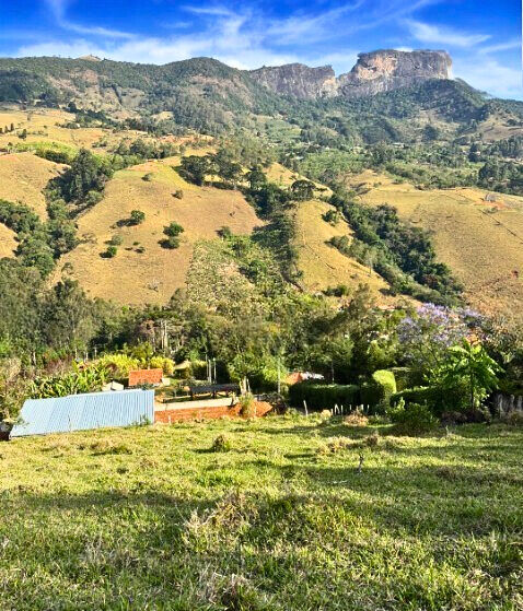 Terreno, 3700 m² - Foto 4