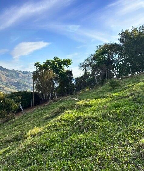 Terreno, 3700 m² - Foto 5