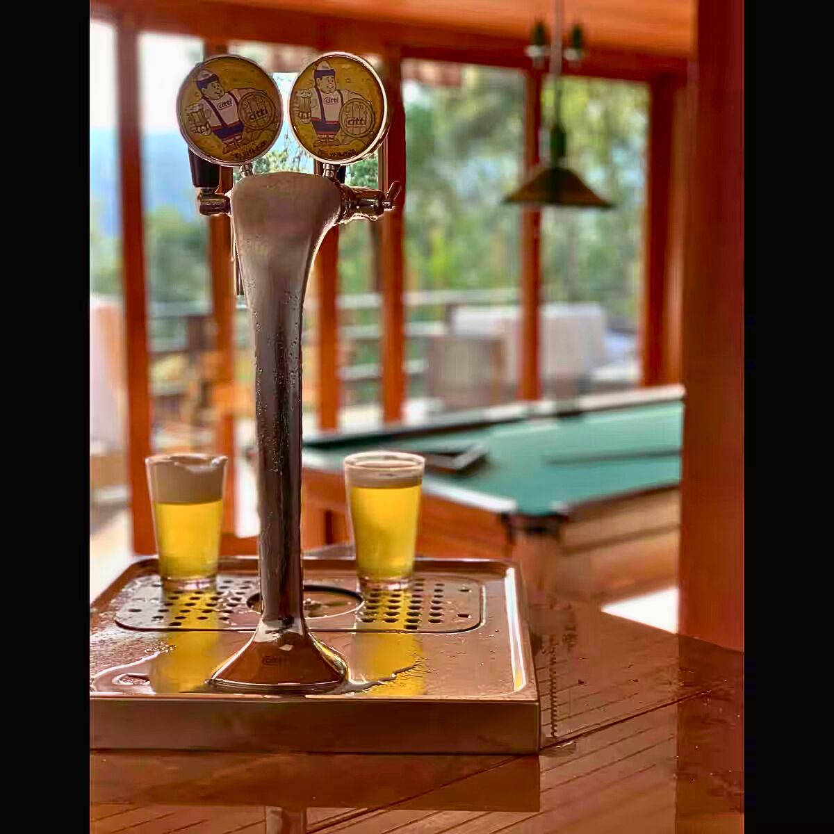 Casa, 4 quartos, 484 m² - Foto 15