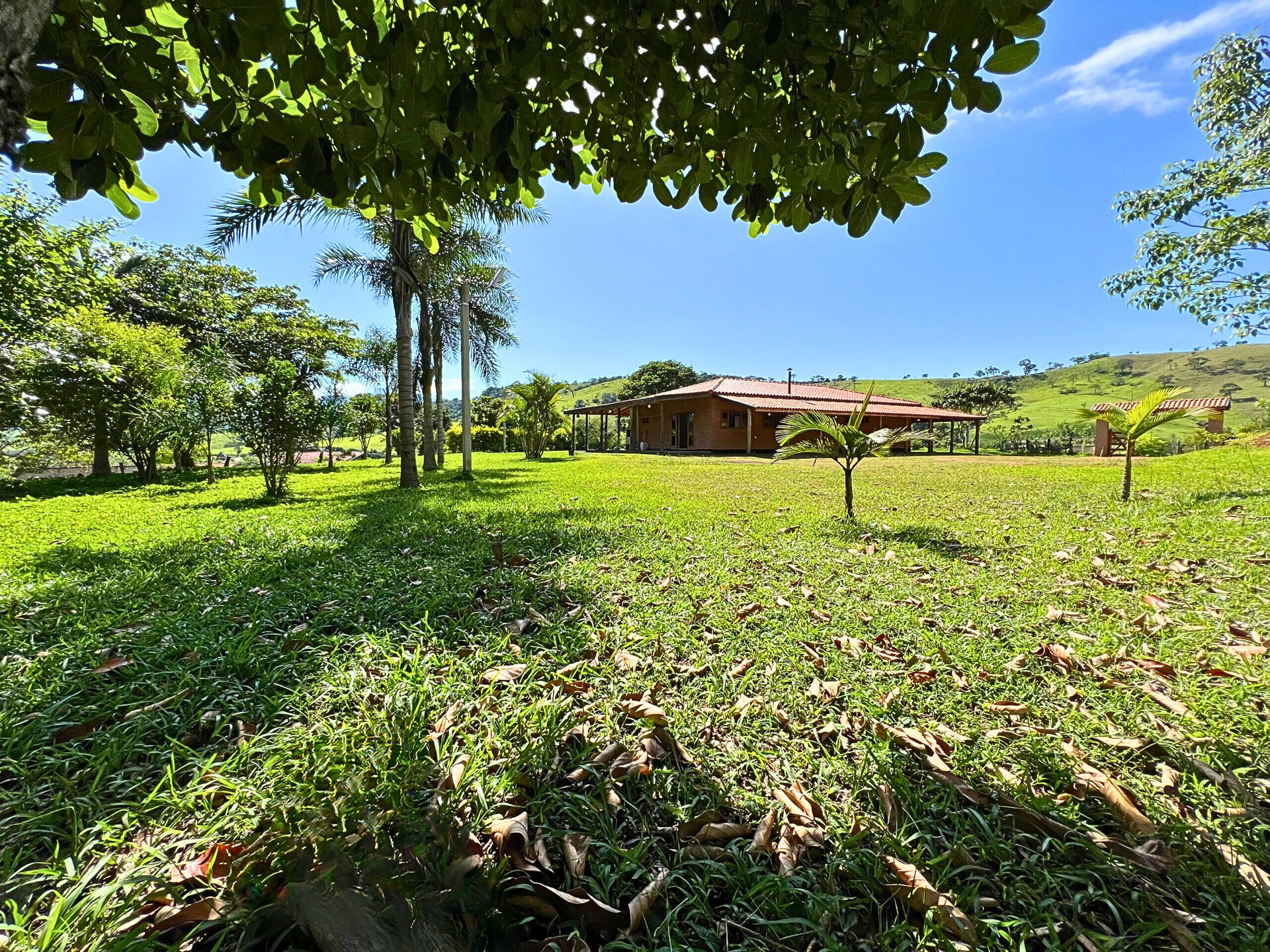 Sítio, 3 quartos, 3800 m² - Foto 2