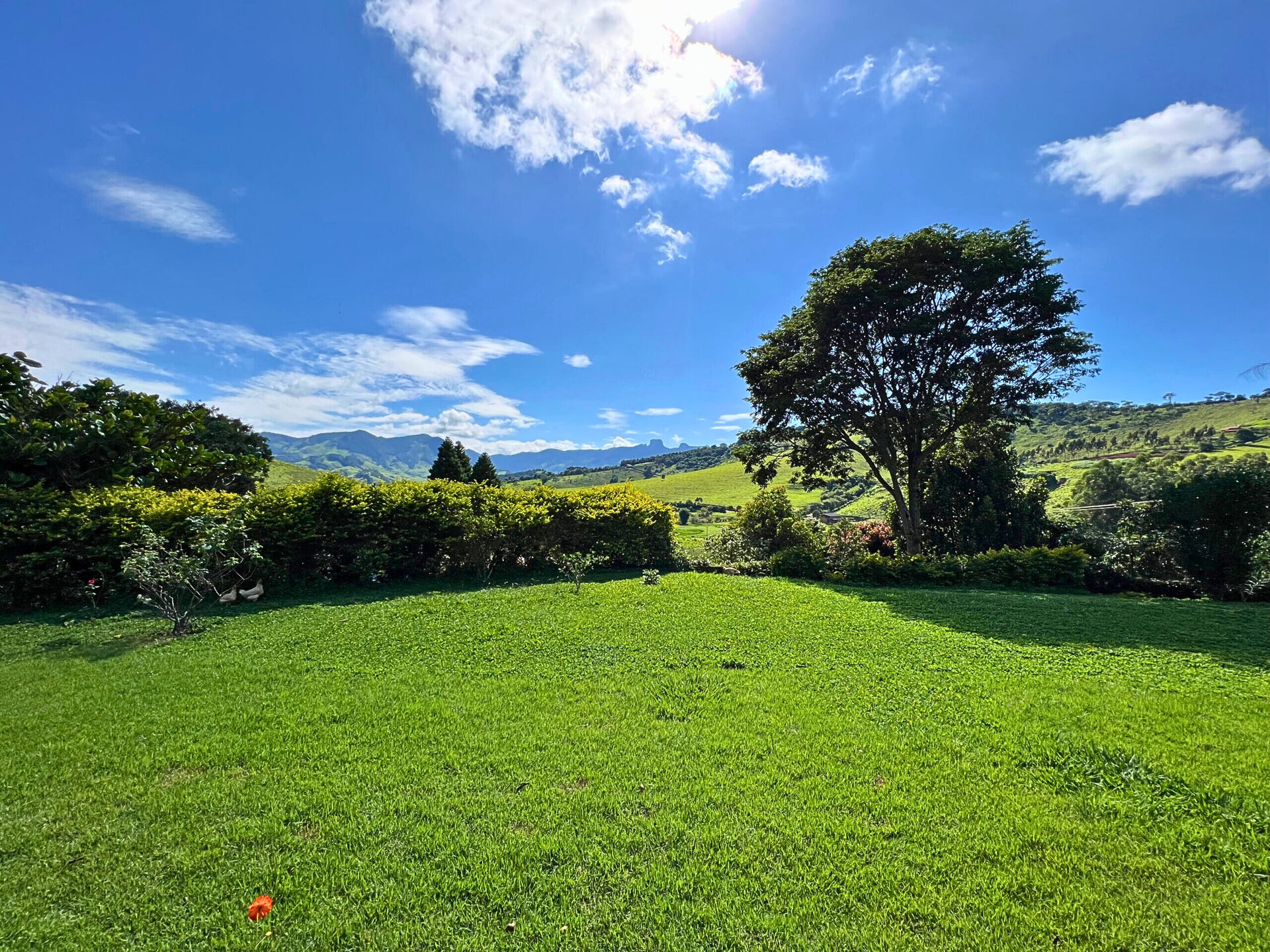 Sítio, 3 quartos, 3800 m² - Foto 25