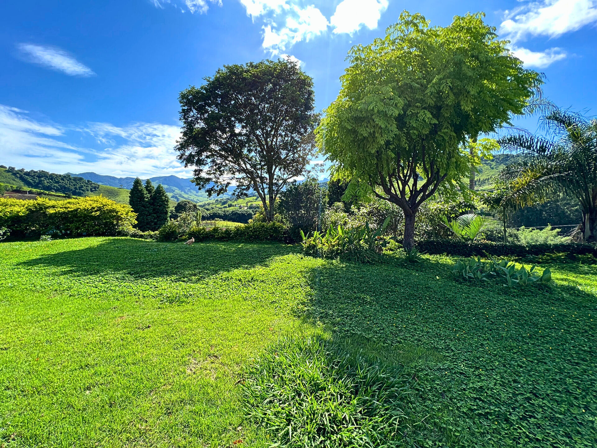 Sítio, 3 quartos, 3800 m² - Foto 32