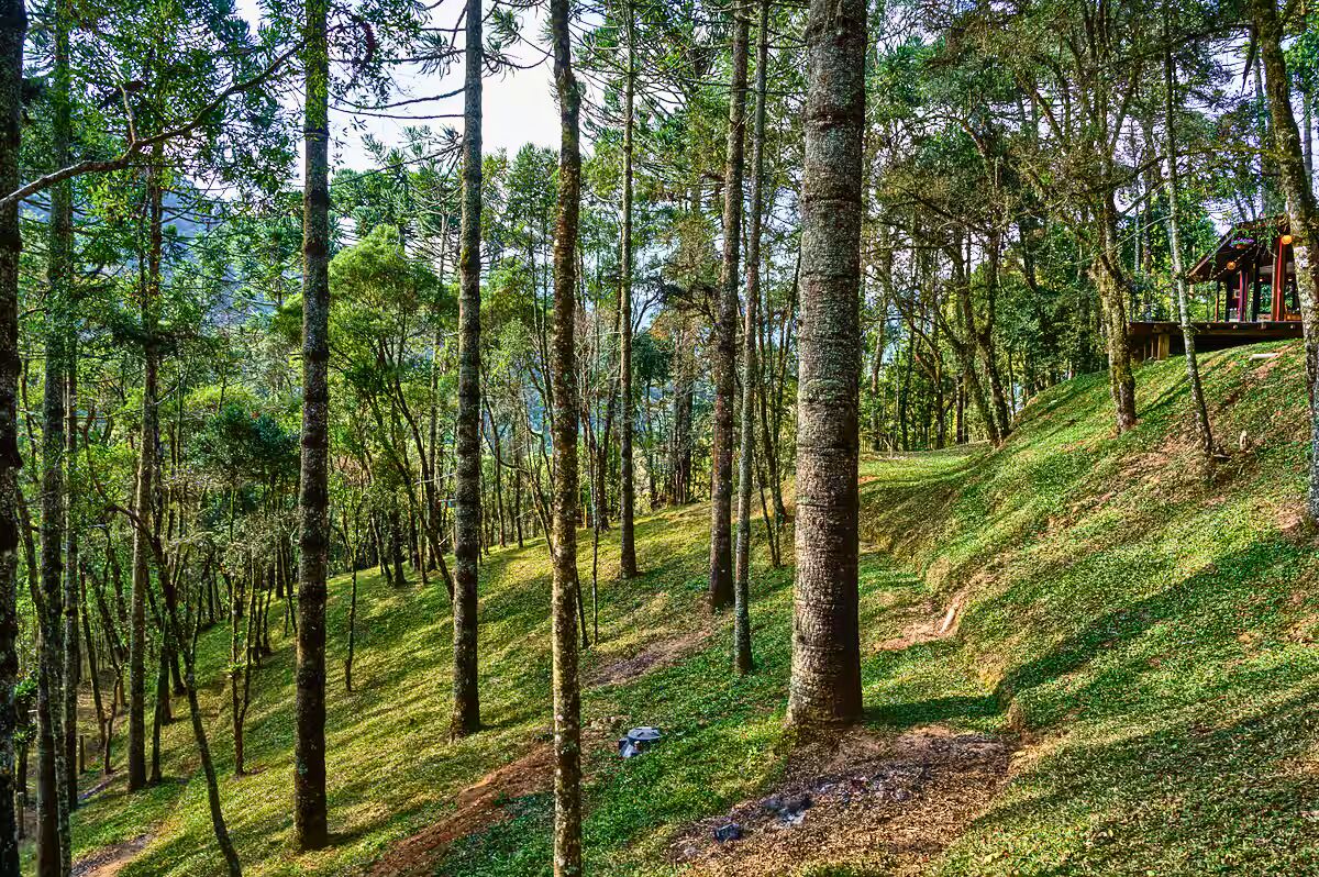 Casa, 1 quarto, 90 m² - Foto 22