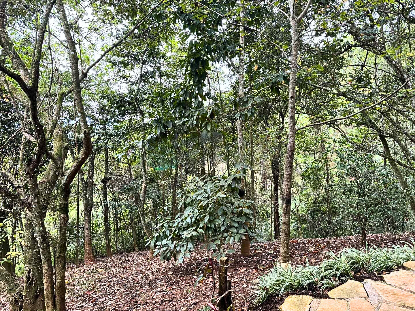 Casa, 3 quartos, 537 m² - Foto 10