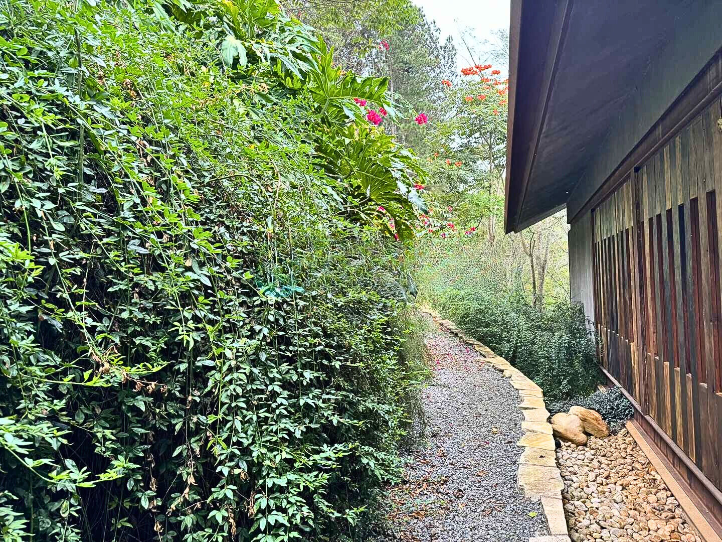 Casa, 3 quartos, 537 m² - Foto 14