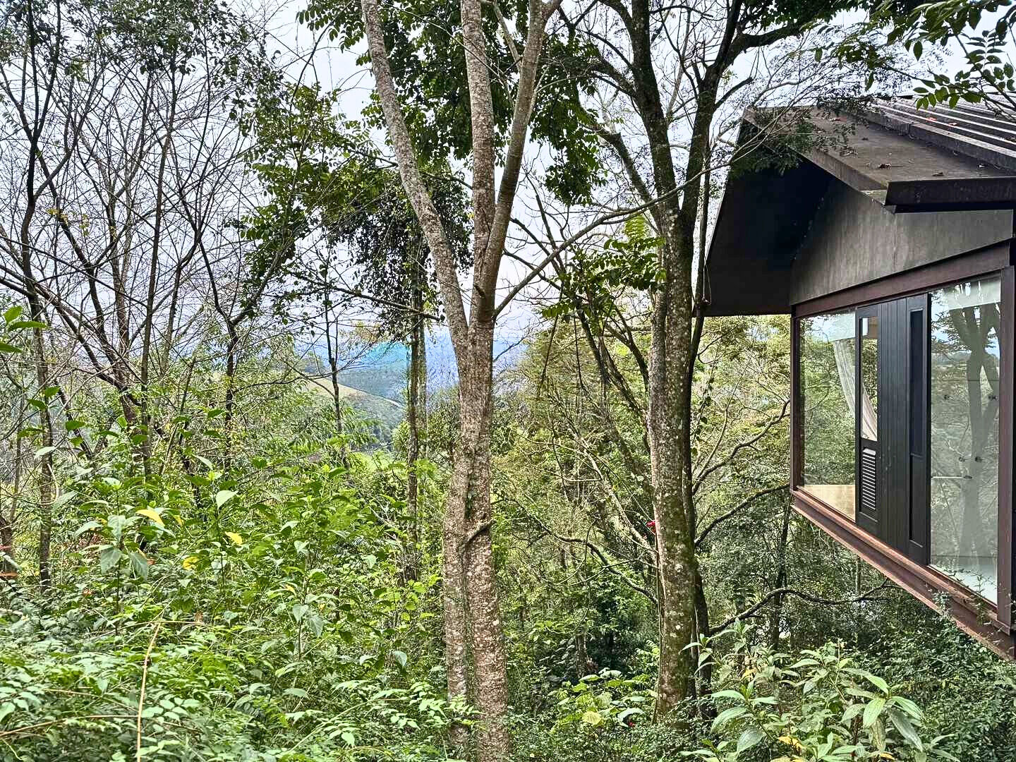 Casa, 3 quartos, 537 m² - Foto 12