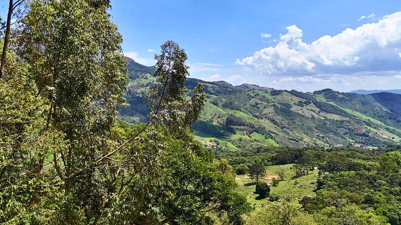 Terreno, 10000 m² - Foto 5
