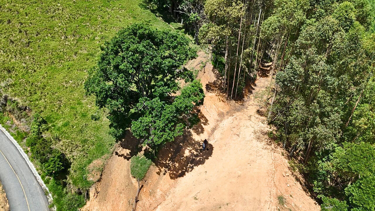 Terreno, 10000 m² - Foto 3