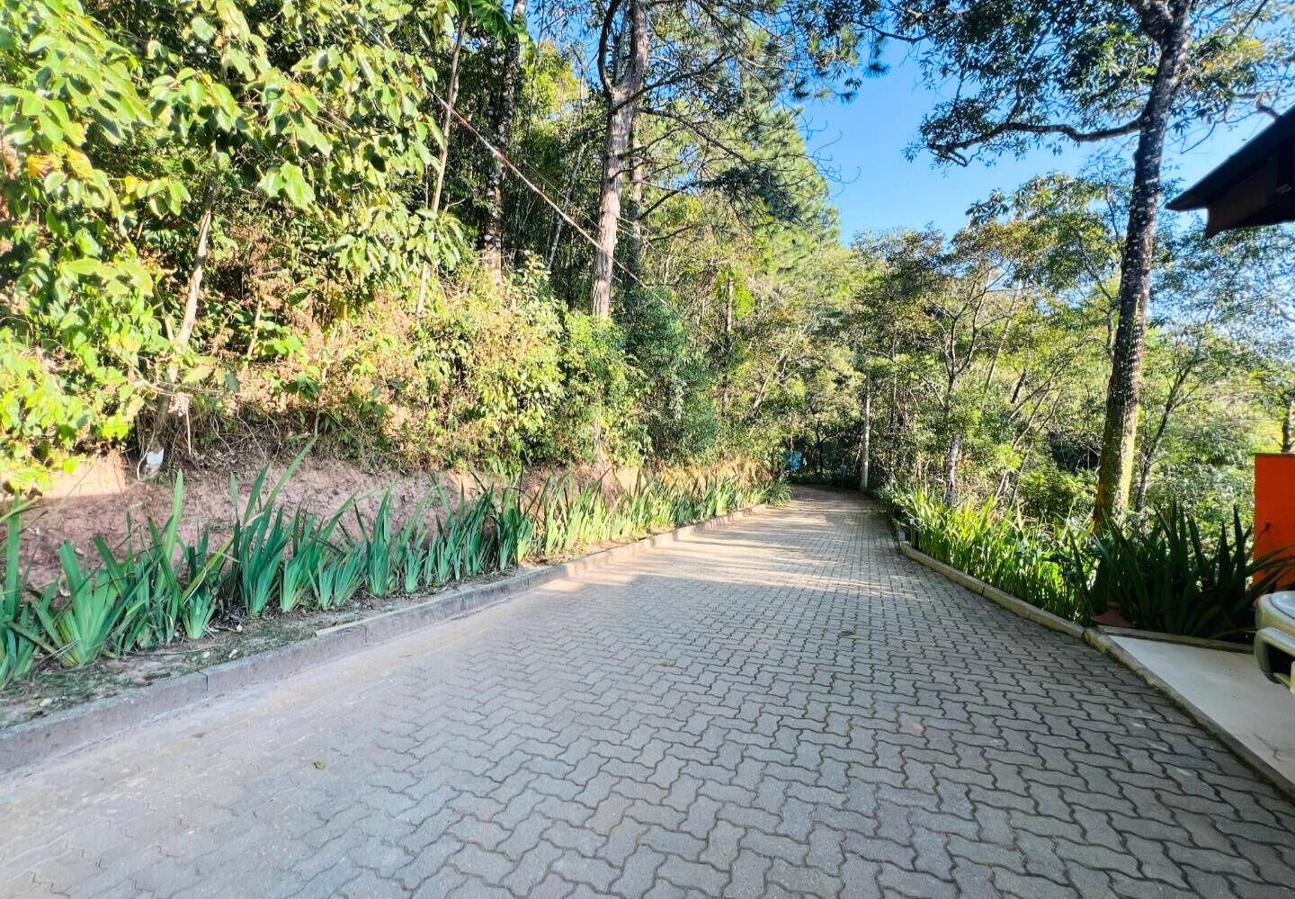 Casa, 2 quartos, 249 m² - Foto 49