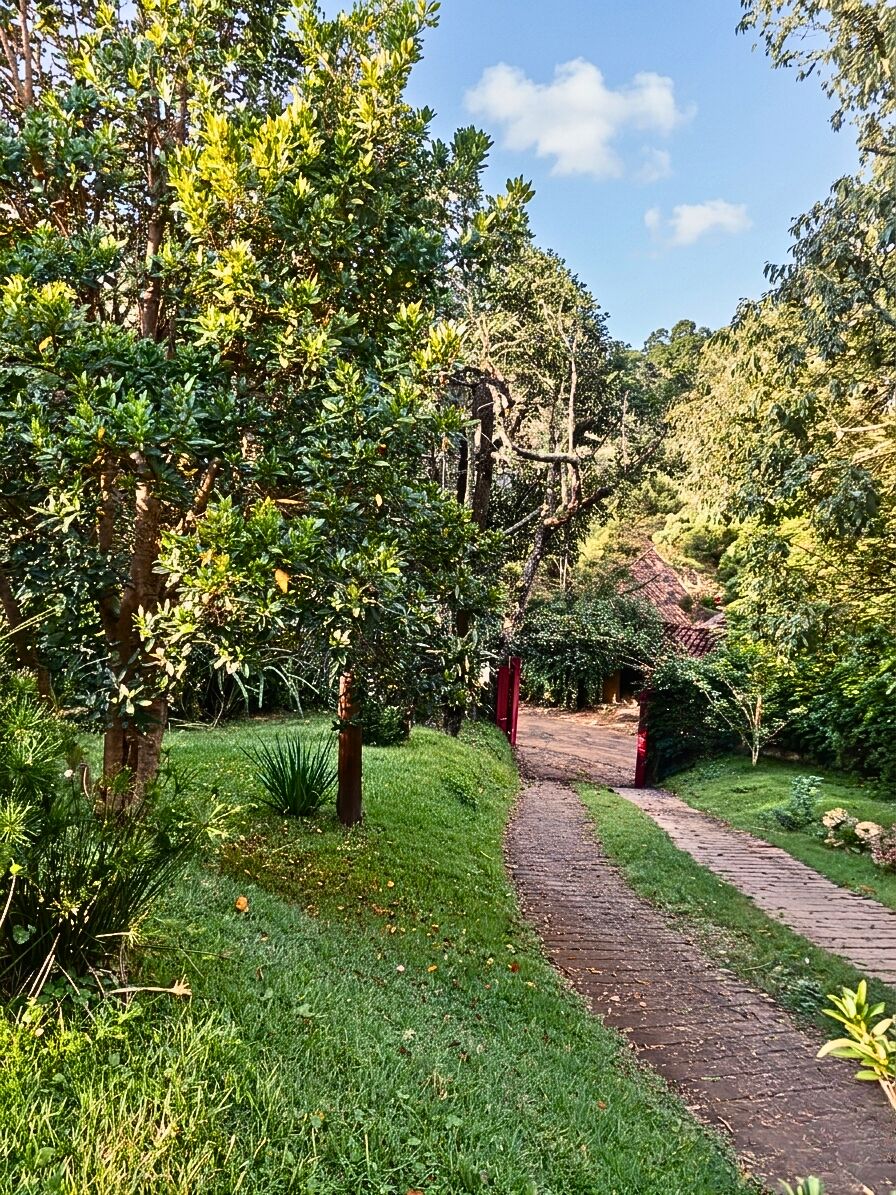Casa, 3 quartos, 250 m² - Foto 18