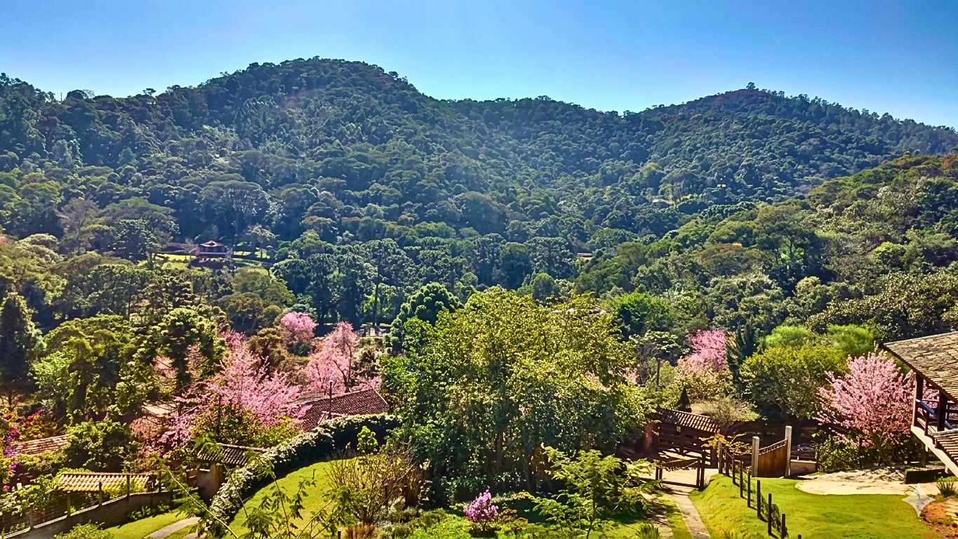 Casa, 3 quartos, 250 m² - Foto 27