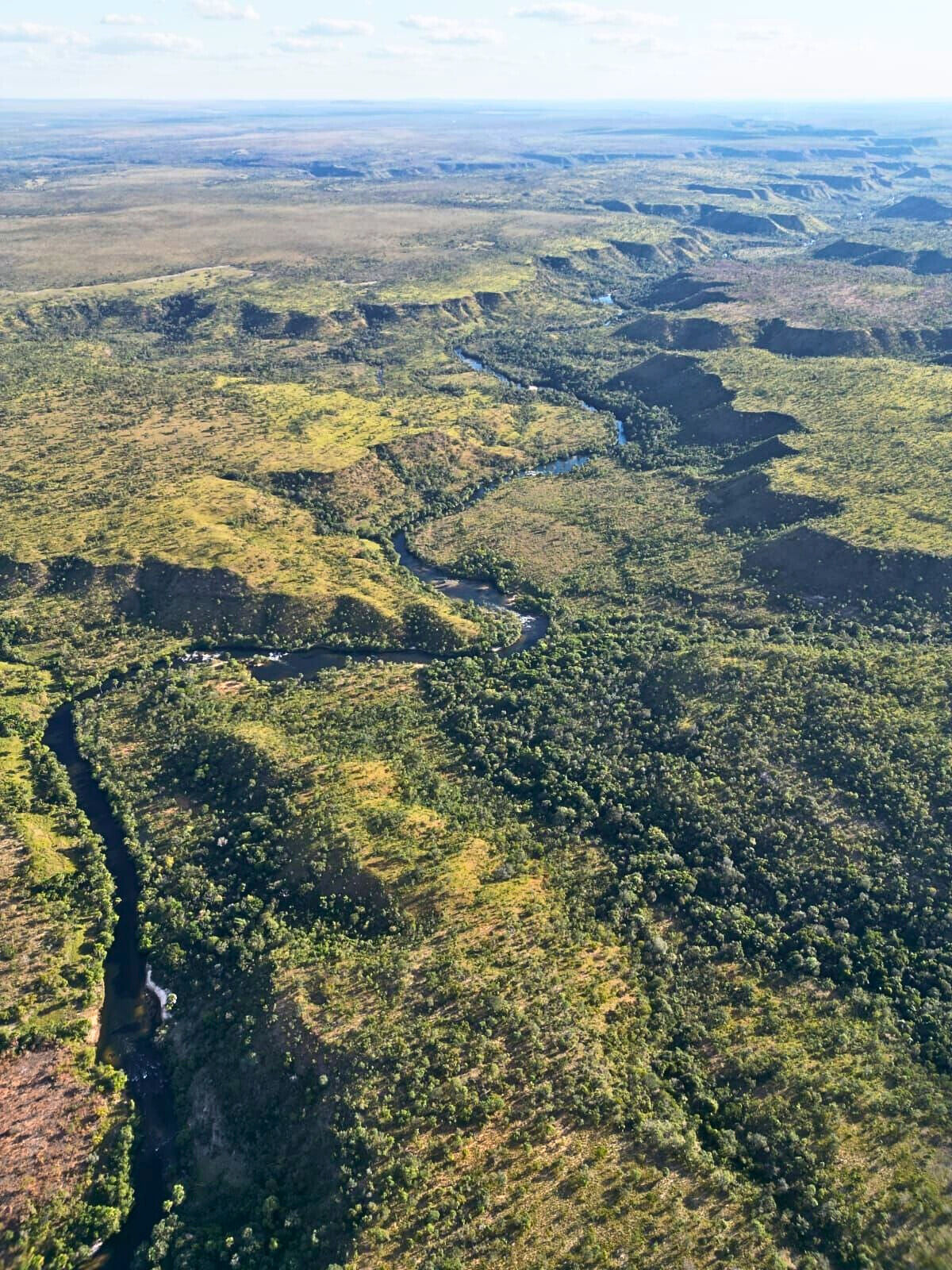 Terreno, 453 hectares - Foto 3