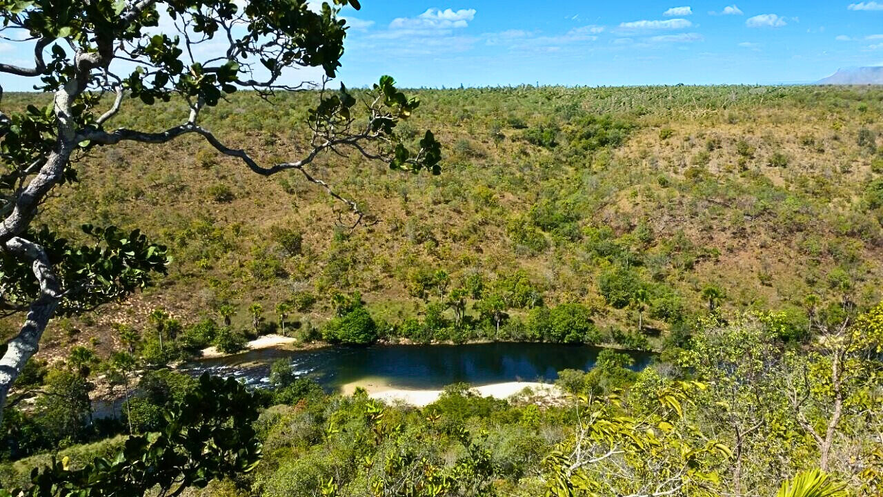 Terreno, 453 hectares - Foto 10