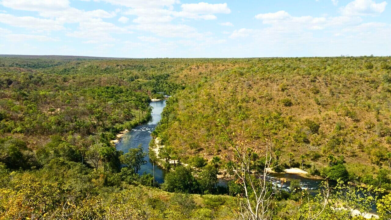 Terreno, 453 hectares - Foto 7