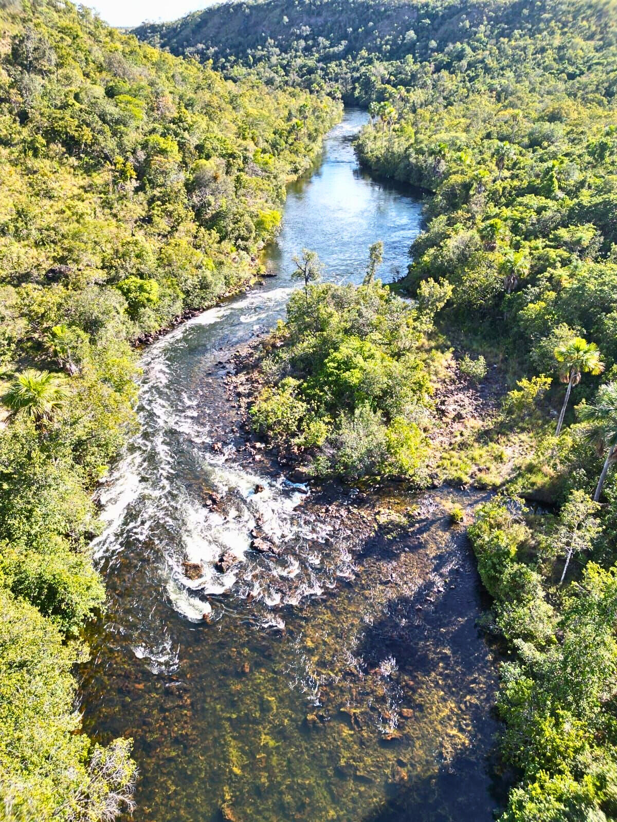 Terreno, 453 hectares - Foto 6