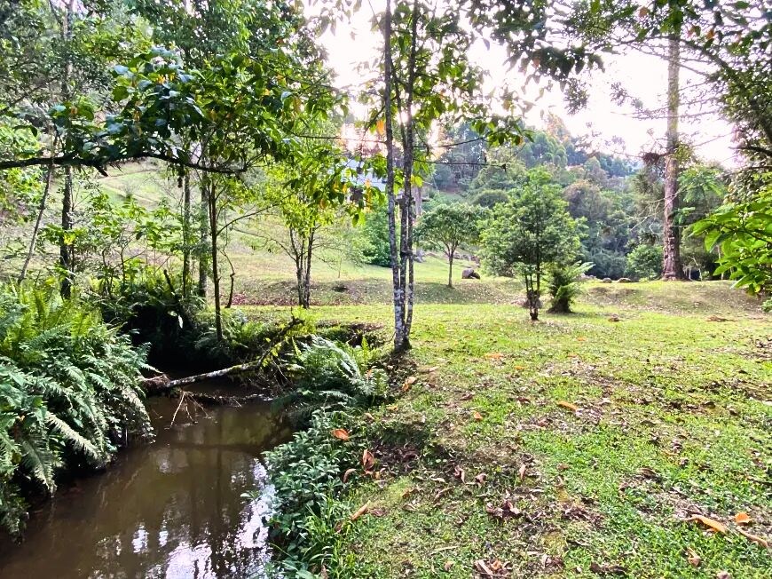 Sítio, 3 quartos, 2 hectares - Foto 28