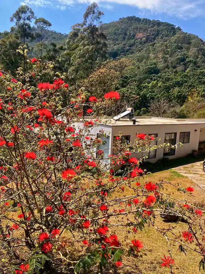 Sítio, 3 quartos, 2 hectares - Foto 34