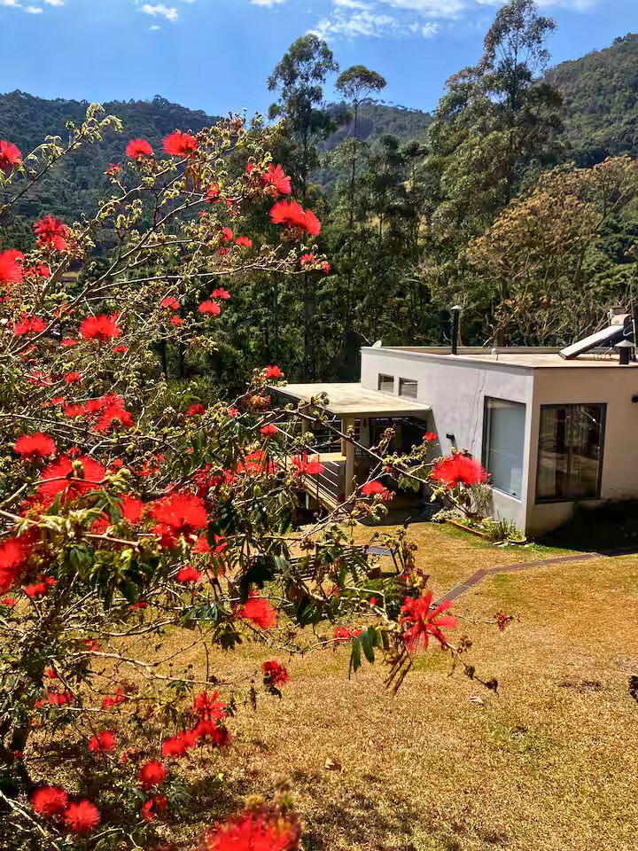 Sítio, 3 quartos, 2 hectares - Foto 35