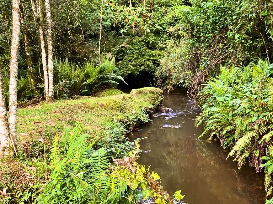 Sítio, 3 quartos, 2 hectares - Foto 26