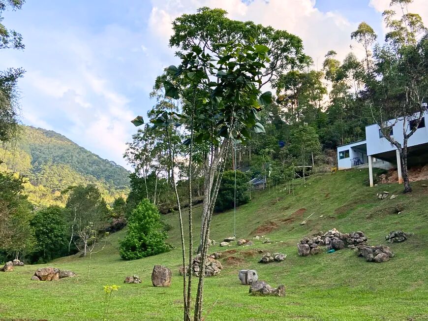 Sítio, 3 quartos, 2 hectares - Foto 30