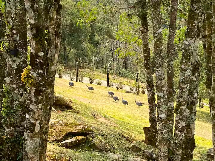 Casa, 2 quartos, 120 m² - Foto 10