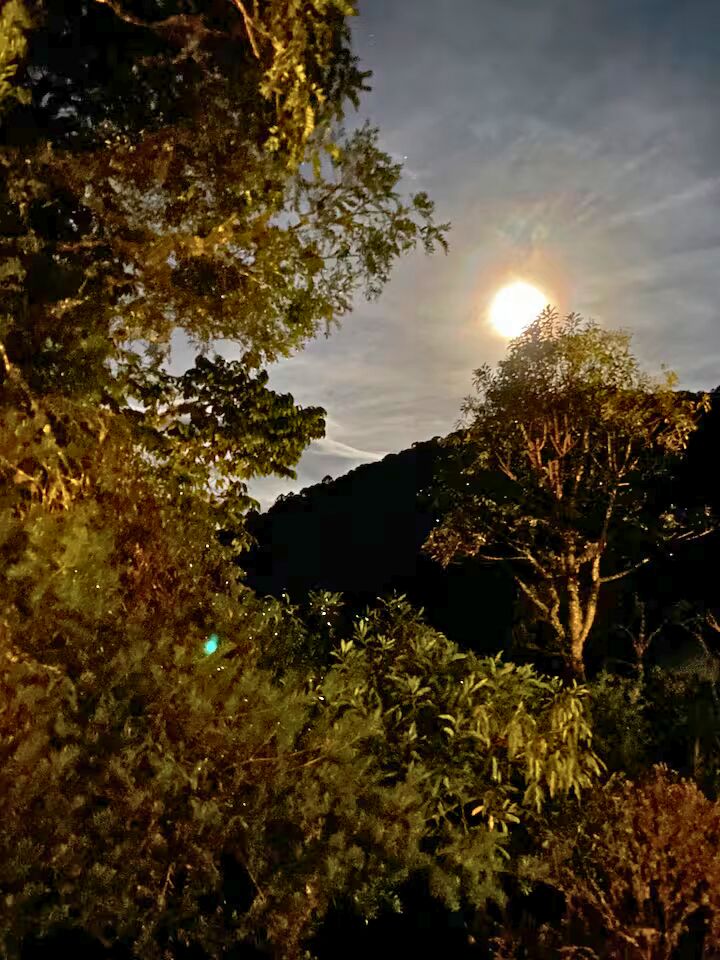 Casa, 2 quartos, 120 m² - Foto 14