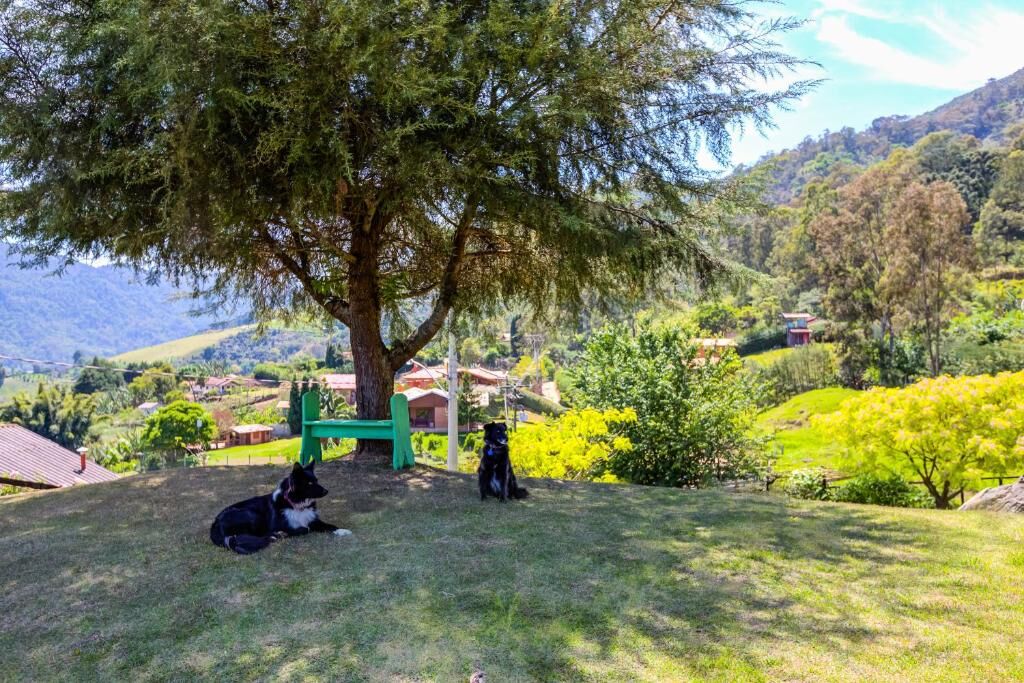 Chácara, 4 quartos, 1620 m² - Foto 19