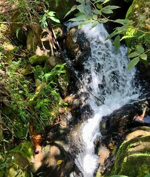 Chácara, 3 quartos, 2 hectares - Foto 24