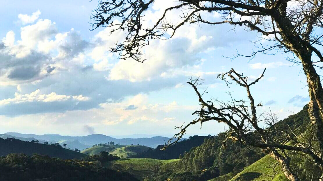 Chácara, 3 quartos, 2 hectares - Foto 29