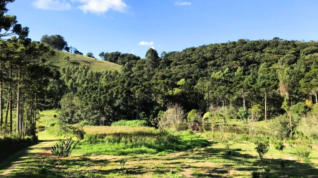 Chácara, 3 quartos, 2 hectares - Foto 25