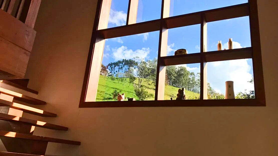 Chácara, 3 quartos, 2 hectares - Foto 16