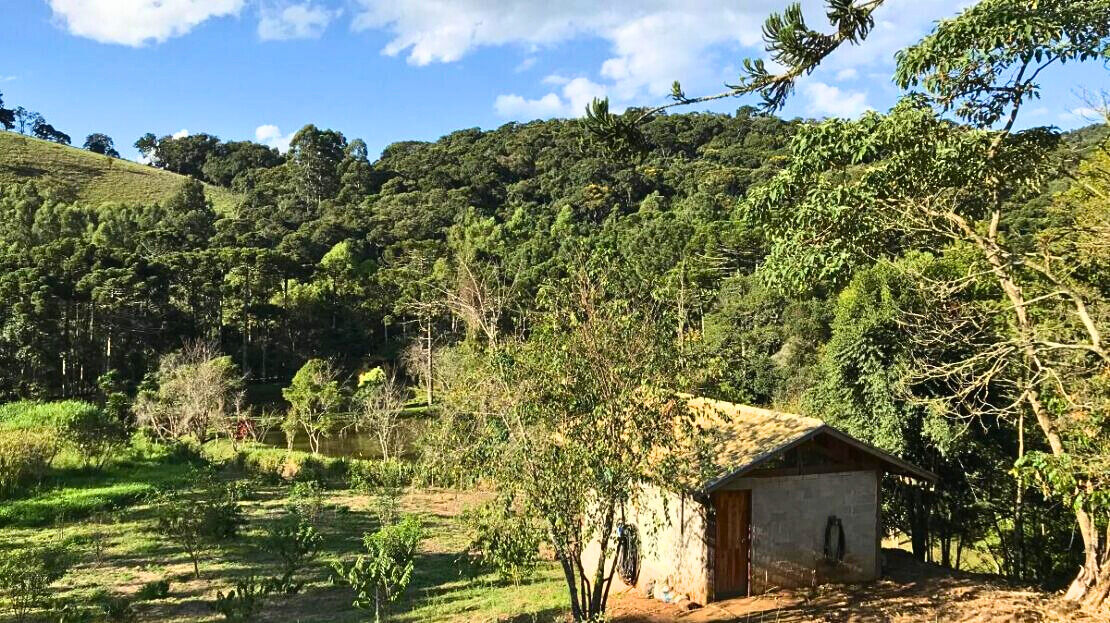 Chácara, 3 quartos, 2 hectares - Foto 30